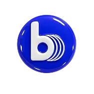 Bankroll Icon